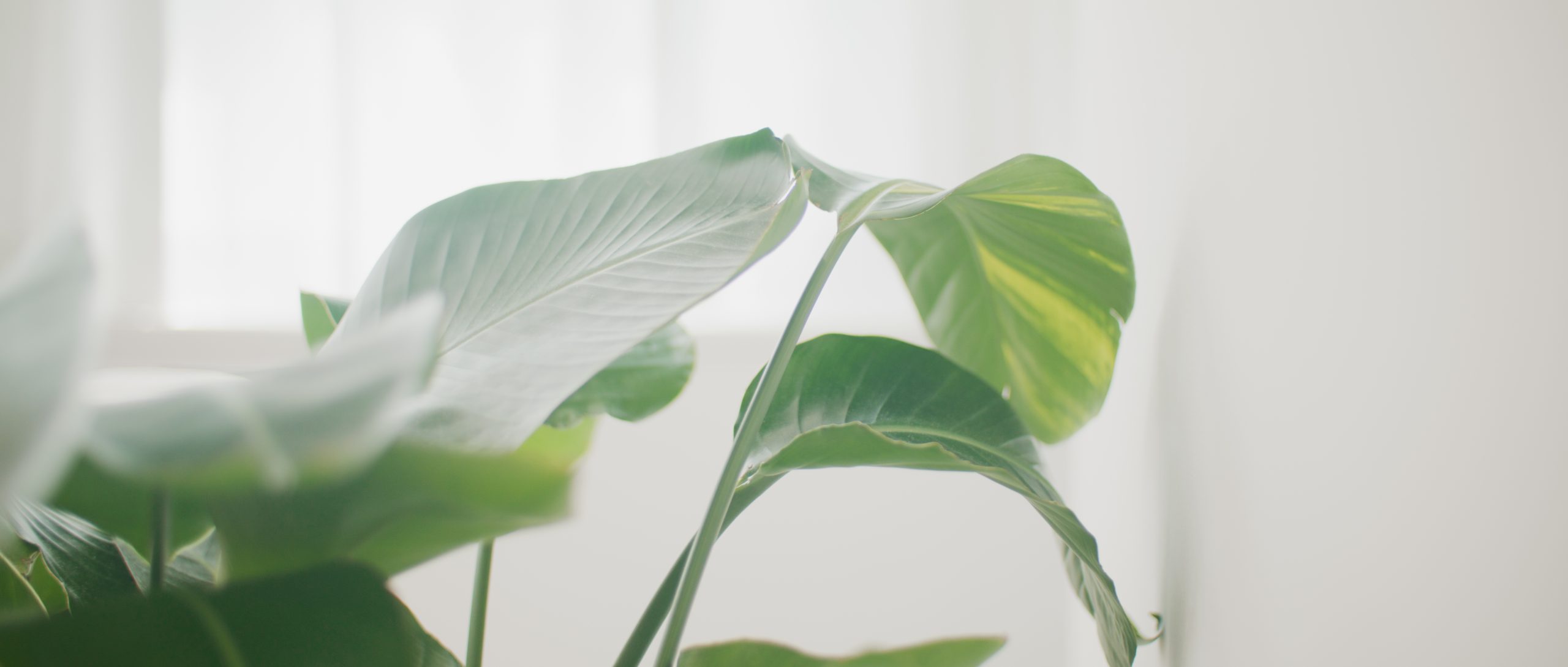 ヘアデザイン&ケアメニュー 髪の理想を叶えるお手伝い